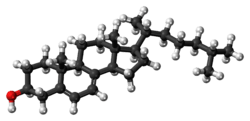 Ball-and-stick model of 7-dehydrocholesterol