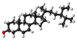 Ball-and-stick model of 7-dehydroepisterol