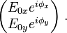 \begin{pmatrix}  E_{0x} e^{i\phi_x} \\ E_{0y} e^{i\phi_y} \end{pmatrix}\;.