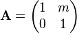 \mathbf{A}=\begin{pmatrix}1 & m\\ 0 & 1\end{pmatrix}