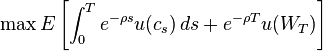  \max E \left[ \int_0^T e^{-\rho s}u(c_s) \, ds +  e^{-\rho T}u(W_T) \right] 