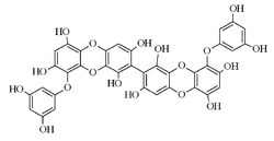 Chemical structure of 8,8'-bieckol