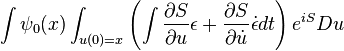 
\int \psi_0(x) \int_{u(0)=x} \left( \int {\partial S \over \partial u } \epsilon + { \partial S \over \partial \dot{u} } \dot{\epsilon} dt \right) e^{iS} Du
\,