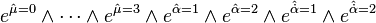 e^{\hat{\mu}=0}\wedge \cdots \wedge e^{\hat{\mu}=3} \wedge e^{\hat{\alpha}=1} \wedge e^{\hat{\alpha}=2} \wedge e^{\hat{\dot{\alpha}}=1} \wedge e^{\hat{\dot{\alpha}}=2}