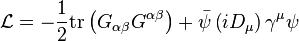 \mathcal{L}=-\frac{1}{2}\mathrm{tr}\left(G_{\alpha\beta}G^{\alpha\beta}\right)+ \bar{\psi}\left(iD_\mu \right)\gamma^\mu\psi 