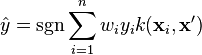 \hat{y} = \sgn \sum_{i=1}^n w_i y_i k(\mathbf{x}_i, \mathbf{x'})