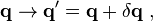 \mathbf{q} \rightarrow \mathbf{q}^{\prime} = \mathbf{q} + \delta \mathbf{q} ~,