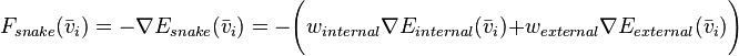  F_{snake}(\bar v_i) = - \nabla E_{snake} (\bar v_i) = - \Bigg( w_{internal} \nabla E_{internal} (\bar v_i)+w_{external} \nabla E_{external} (\bar v_i) \Bigg) 