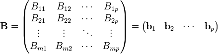 \mathbf{B} = \begin{pmatrix}
B_{1 1} & B_{1 2} & \cdots & B_{1 p} \\
B_{2 1} & B_{2 2} & \cdots & B_{2 p} \\
\vdots & \vdots & \ddots & \vdots \\
B_{m 1} & B_{m 2} & \cdots & B_{m p}
\end{pmatrix}
=
\begin{pmatrix}
\mathbf{b}_1 & \mathbf{b}_2 & \cdots & \mathbf{b}_p
\end{pmatrix}
