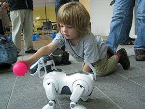 AIBO ERS-7 following pink ball held by child