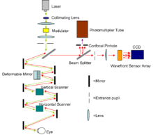 Diagram of the AOSLO setup