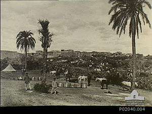 Ottoman soldiers with horses near a tent on the outskirts of the town