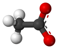 Ball-and-stick model of the acetate anion