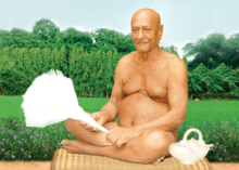 Acharya Vidyananda