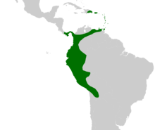 Aiphanes occurs in northwestern South America, south into Bolivia and east to northeastern Venezuela, in Panama and in Trinidad, Puerto Rico and eastern Hispaniola.