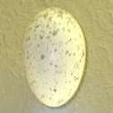 A cream egg with light buff blotches