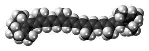 Space-filling model