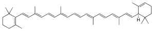 Skeletal formula