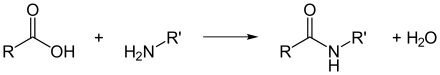 Figure 1: Dehydration synthesis (condensation) reaction forming an amide