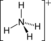 2-D skeletal version of the ammonium ion