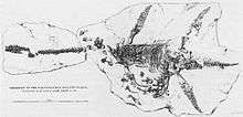 Drawing of partially complete skeleton of creature with long thin neck, small skull, and paddles