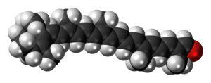 Space-filling model of the apocarotenal molecule