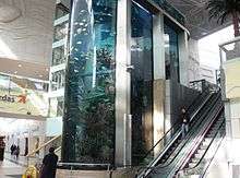 Aquarium in shopping mall, Kaunas.jpg