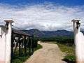 Argentine vineyard and mountains..jpg