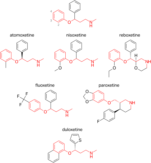 Aryloxypropanamine scaffold