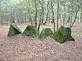 Atlantic Wall Training, Hankley Common, Dragon's Teeth.JPG