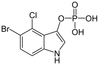 Skeletal formula of BCIP