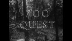 Zoo Quest series title card