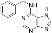 Skeletal formula of 6-benzylaminopurine