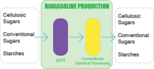 Biogasoline Production Process