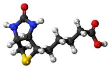 Ball-and-stick model of the Biotin molecule