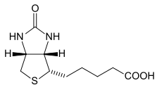 Skeletal formula of biotin