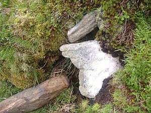 Blanket bog on Glinsk Mountain