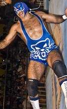 Masked wrestler Blue Panther on the mat during a wrestling match.