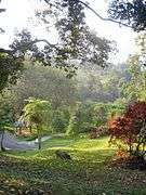 Botanical garden - Cibodas - Indonesia 6.jpg