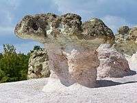 Bulgaria-The Stone Mushrooms-03.jpg