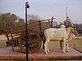 Bull Cart of Punjab.JPG