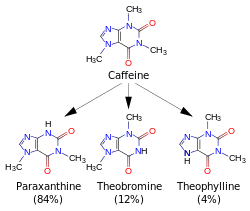 A diagram featuring 4 skeletal chemical formulas. Top (caffeine) relates to similar compounds paraxanthine, theobromine and theophylline.