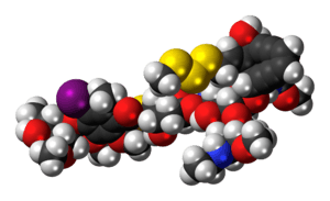 Ball-and-stick model of the Calicheamicin γ1 molecule