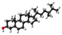Ball-and-stick model of campesterol