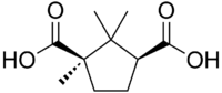 Skeletal formula of camphoric acid
