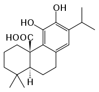 Chemical structure of carnosic acid