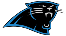 A stylized version of a Panther head, mainly colored black but with blue featured along the sides of the logo.
