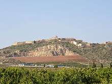 Photo shows a large hill crowned by old fortifications.