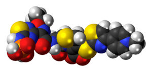 Space-filling model of the ceftaroline fosamil molecule as a zwitterion