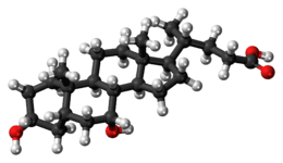 Ball-and-stick model of the chenodeoxycholic acid molecule